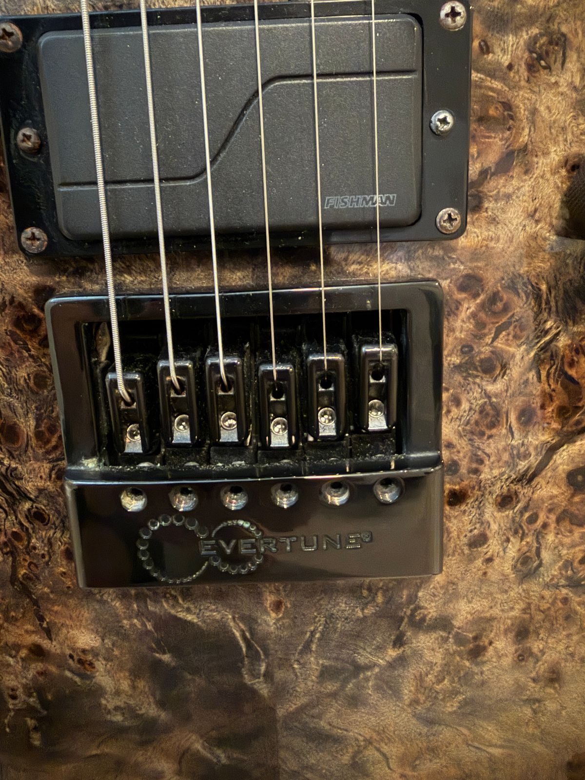 ESP LTD TE-1000 Evertune 2023 - Present - Charcoal Burst