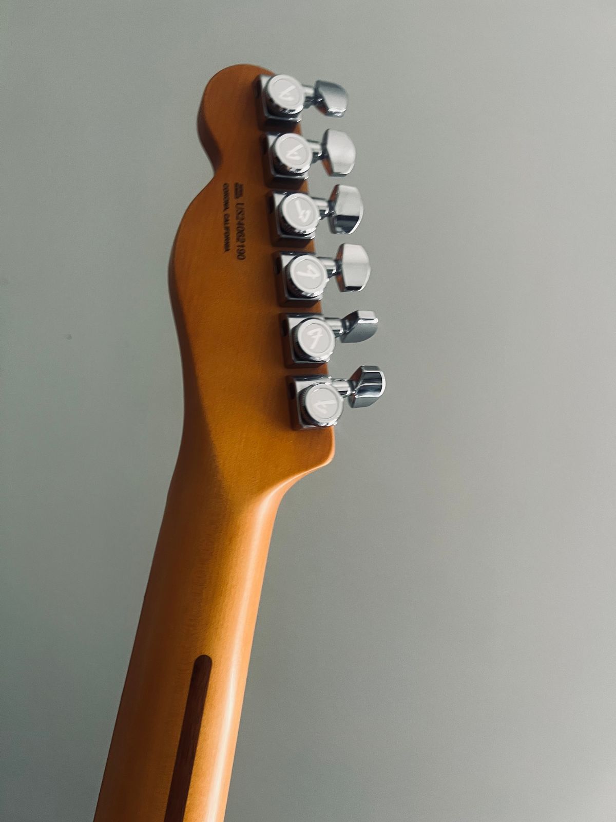 Fender American Ultra II Telecaster with Maple Fretboard 2024 - Present - Avalanche