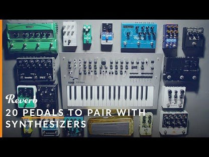 Chase Bliss Audio Thermae Analog Delay and Harmonizer 2018 - 2024 - Blue